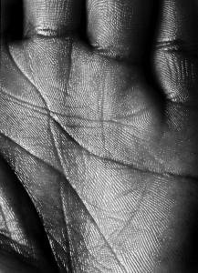 time warn palm